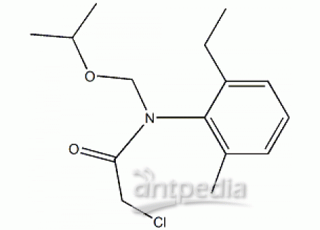 P816601-25mg 异丙草胺,分析对照品, 94%