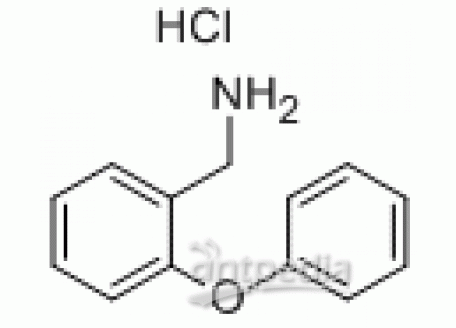 P841943-1g 1-(2-苯氧基苯基)甲胺盐酸盐,95%