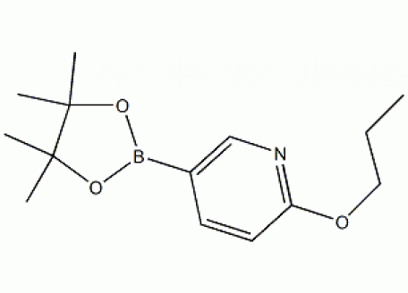 P842163-1g 2-丙氧基-5-吡啶硼酸酯,95%