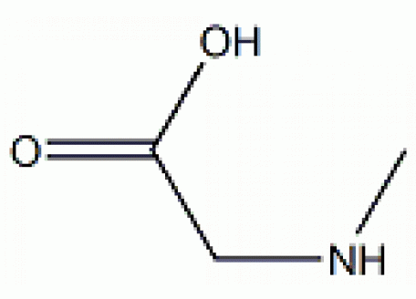 S6019-10g 肌氨酸,99%生物技术级