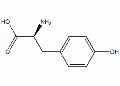 T6229-25g L-酪氨酸,99%生物技术级