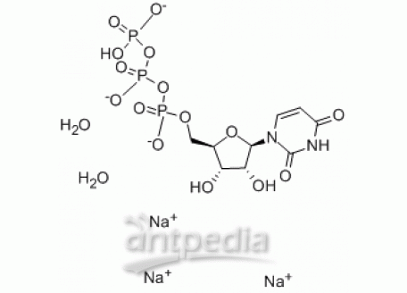 U6042-250mg 三磷酸尿苷三钠,99%生物技术级