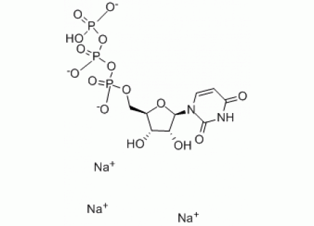 U6095-500mg 尿苷-5