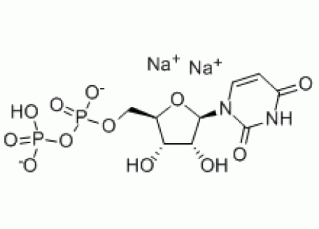U6105-500mg 二磷酸尿苷二钠,99%生物技术级