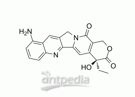 HY-100309 9-Aminocamptothecin | MedChemExpress (MCE)
