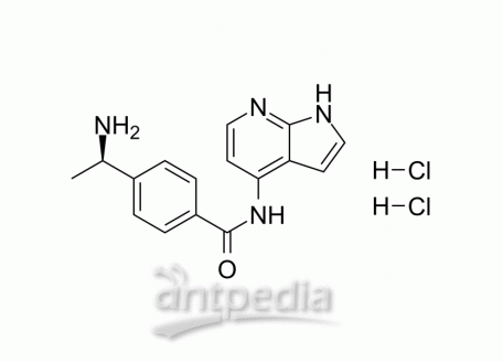 HY-10069 Y-33075 dihydrochloride | MedChemExpress (MCE)