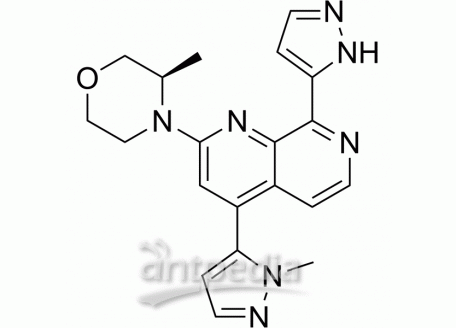 HY-101566 Elimusertib | MedChemExpress (MCE)