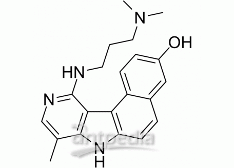 HY-101647 Intoplicine | MedChemExpress (MCE)