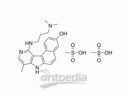 HY-101647A Intoplicine dimesylate | MedChemExpress (MCE)
