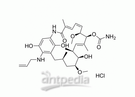 Retaspimycin Hydrochloride | MedChemExpress (MCE)