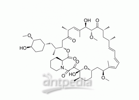 HY-10219 Rapamycin | MedChemExpress (MCE)