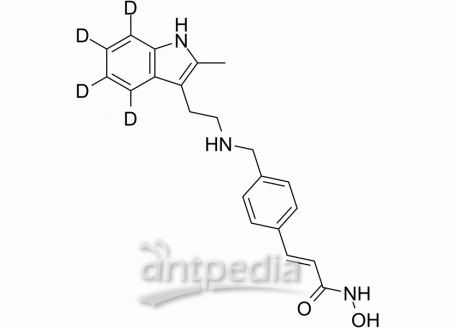 HY-10224S Panobinostat-d4 | MedChemExpress (MCE)