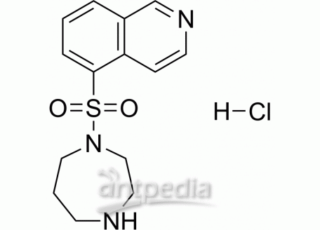 HY-10341 Fasudil Hydrochloride | MedChemExpress (MCE)