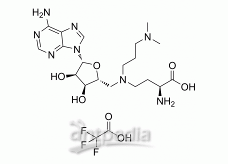 GSK2807 Trifluoroacetate | MedChemExpress (MCE)