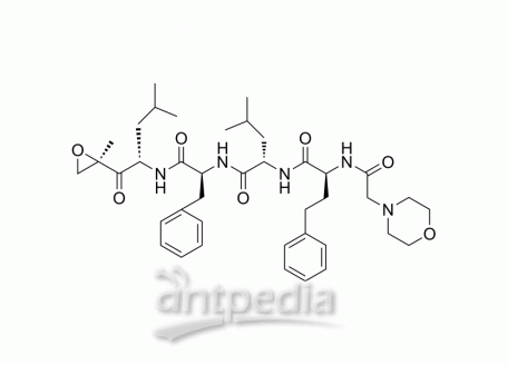 HY-10455 Carfilzomib | MedChemExpress (MCE)