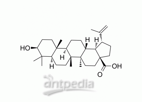 HY-10529 Betulinic acid | MedChemExpress (MCE)