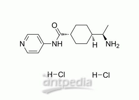 Y-27632 dihydrochloride | MedChemExpress (MCE)