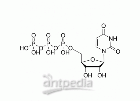 HY-107372 Uridine triphosphate | MedChemExpress (MCE)