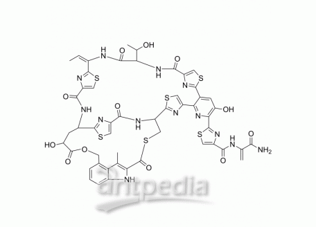 HY-107486 Nosiheptide | MedChemExpress (MCE)