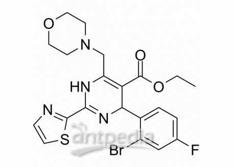HY-108917 Morphothiadin | MedChemExpress (MCE)