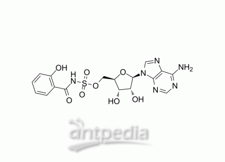 HY-108941 Salicyl-AMS | MedChemExpress (MCE)