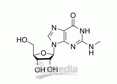 HY-111647 N2-Methylguanosine | MedChemExpress (MCE)