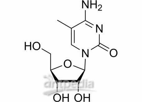 HY-113135 5-Methylcytidine | MedChemExpress (MCE)