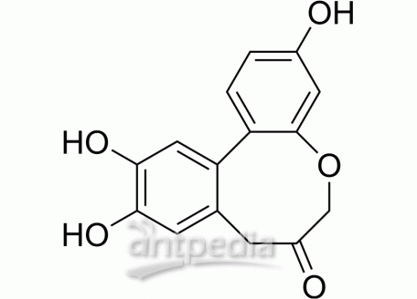 HY-113573 Protosappanin A | MedChemExpress (MCE)