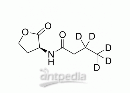 N-butyryl-L-Homoserine lactone-d5 | MedChemExpress (MCE)