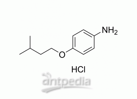 CP-24879 hydrochloride | MedChemExpress (MCE)