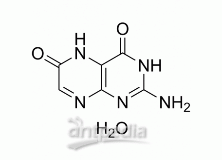 HY-119674A Xanthopterin hydrate | MedChemExpress (MCE)