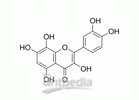 HY-119917 Gossypetin | MedChemExpress (MCE)
