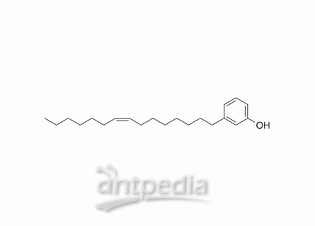 HY-119979 Cardanol monoene | MedChemExpress (MCE)