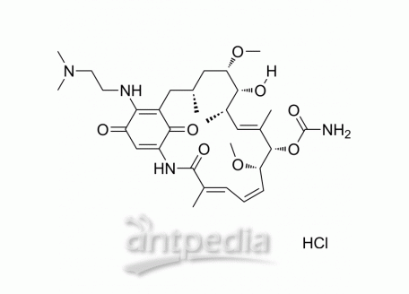 HY-12024 Alvespimycin hydrochloride | MedChemExpress (MCE)