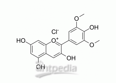HY-122496 Malvidin chloride | MedChemExpress (MCE)