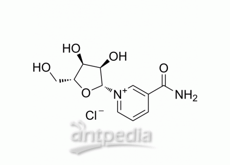 HY-123033A Nicotinamide riboside chloride | MedChemExpress (MCE)