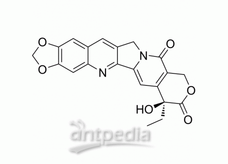 HY-12486 FL118 | MedChemExpress (MCE)