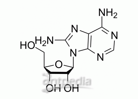 8-Aminoadenosine | MedChemExpress (MCE)