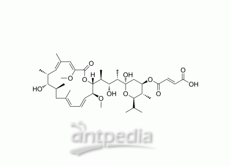 HY-130173 Bafilomycin C1 | MedChemExpress (MCE)
