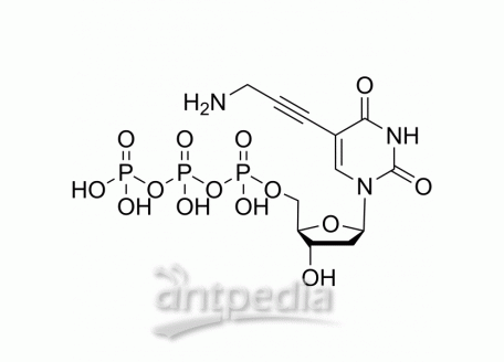 HY-132141 5-PA-dUTP | MedChemExpress (MCE)