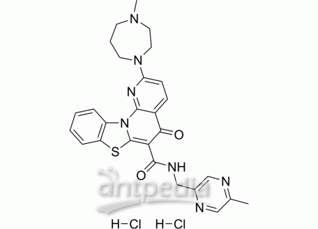 CX-5461 dihydrochloride | MedChemExpress (MCE)