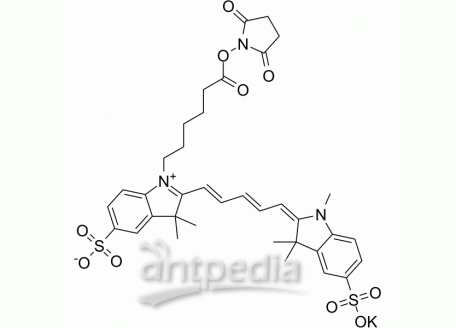 HY-135413A Sulfo-CY5-NHS ester potassium | MedChemExpress (MCE)