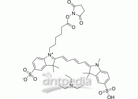 MeCY5-NHS ester triethylamine | MedChemExpress (MCE)