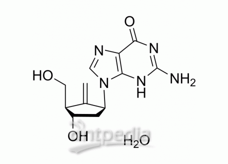 HY-13623A Entecavir monohydrate | MedChemExpress (MCE)