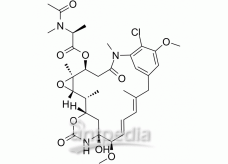 HY-13674 Maytansine | MedChemExpress (MCE)