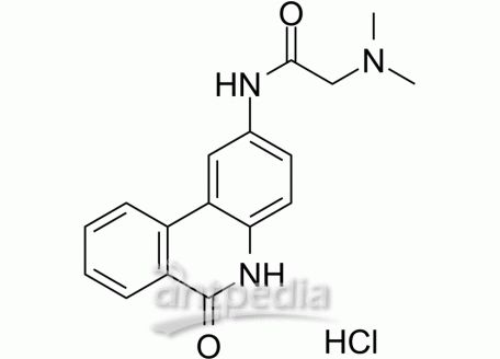 HY-13688 PJ34 hydrochloride | MedChemExpress (MCE)