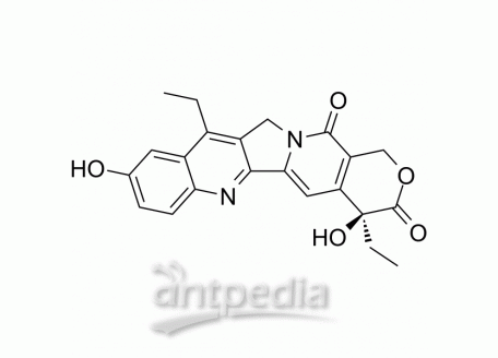 HY-13704 SN-38 | MedChemExpress (MCE)