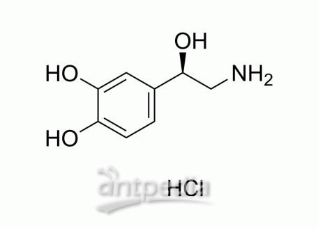 HY-13715A Norepinephrine hydrochloride | MedChemExpress (MCE)