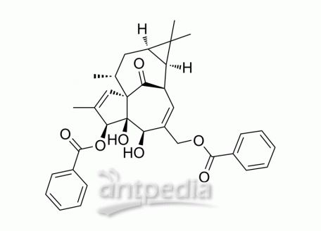 HY-137295 Ingenol 3,20-dibenzoate | MedChemExpress (MCE)