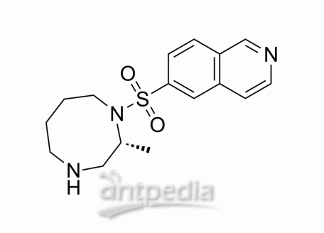HY-137436 Cotosudil | MedChemExpress (MCE)